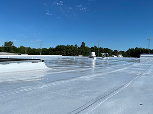 Roof Coating1