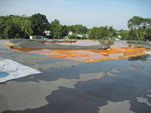 Damaged Roof2