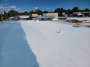 Roof Coating1